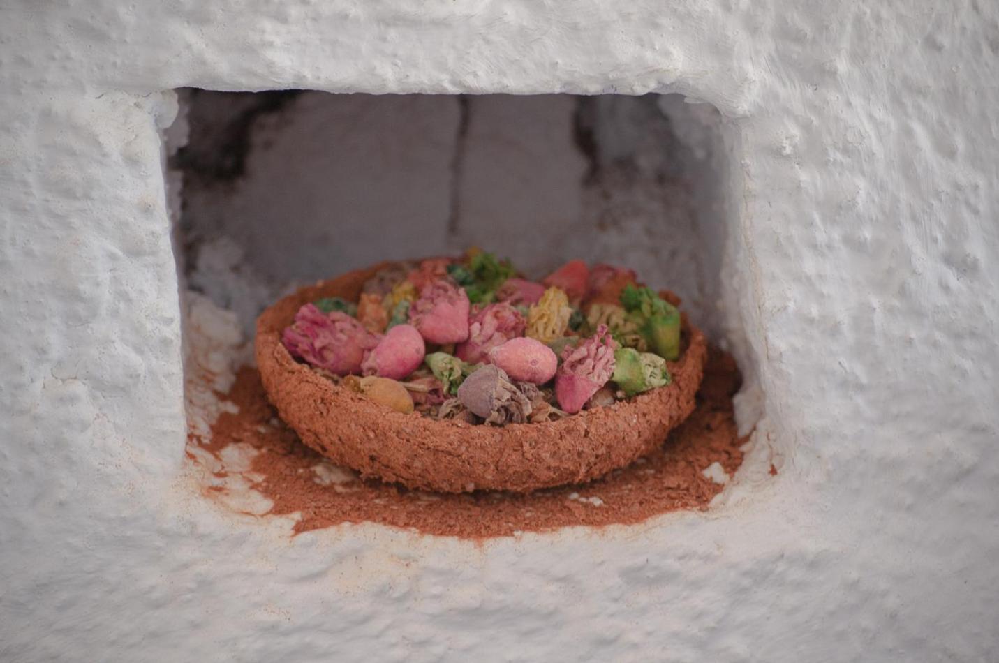 Riad Antek Şafşavan Dış mekan fotoğraf
